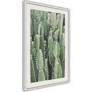 Poster - Cactus Plantation  - wit passepartout