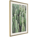 Poster - Cactus Plantation  - goud passepartout