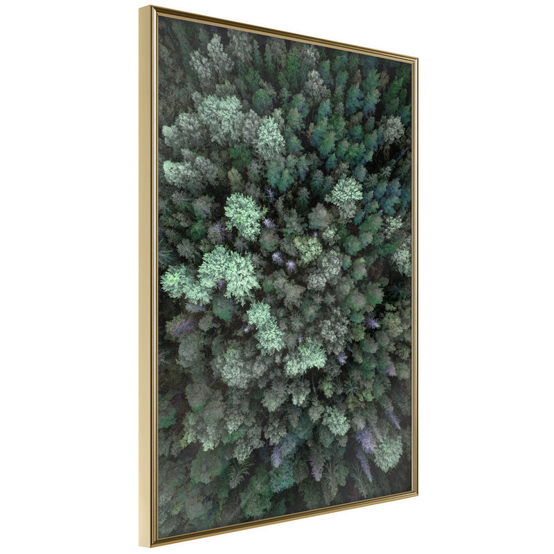 Poster - World from High Above  - goud