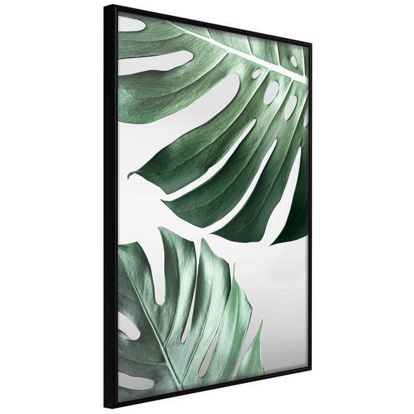 Poster - Leaves Like Swiss Cheese  - zwart