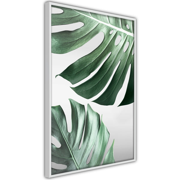 Poster - Leaves Like Swiss Cheese  - wit