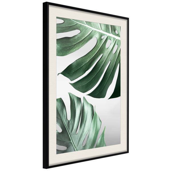 Poster - Leaves Like Swiss Cheese  - zwart passepartout