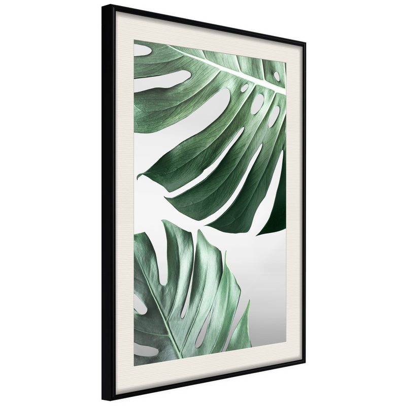 Poster - Leaves Like Swiss Cheese  - zwart passepartout