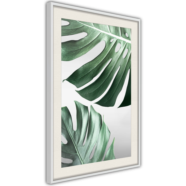 Poster - Leaves Like Swiss Cheese  - wit passepartout