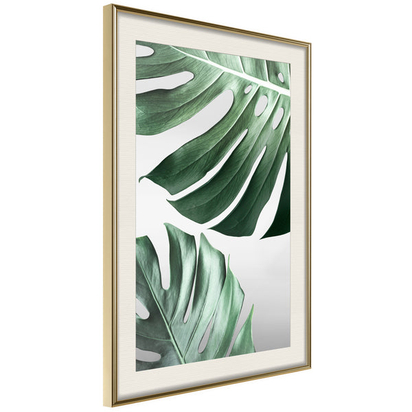 Poster - Leaves Like Swiss Cheese  - goud passepartout