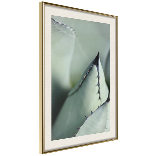 Poster - Young Leaf of Agave  - goud passepartout