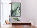 Poster - Young Leaf of Agave  - zwart