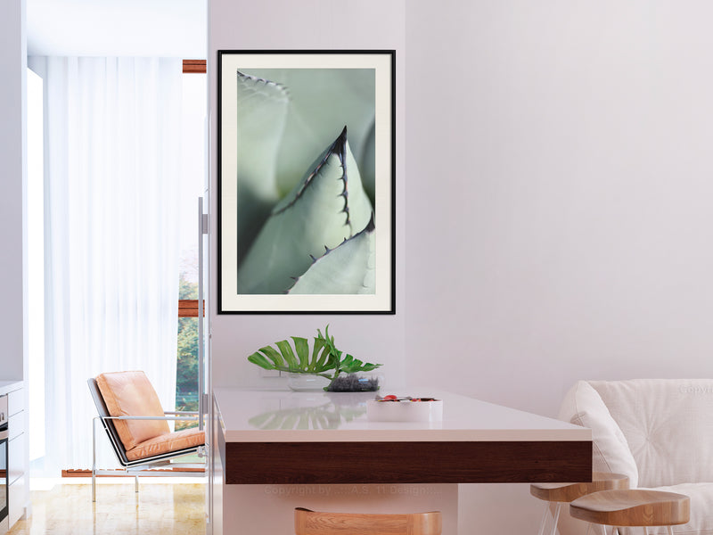 Poster - Young Leaf of Agave  - zwart passepartout