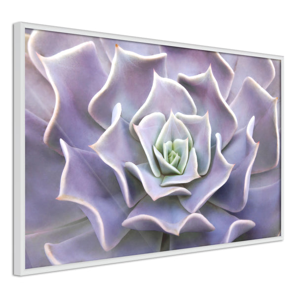 Poster - Like a Flower  - wit