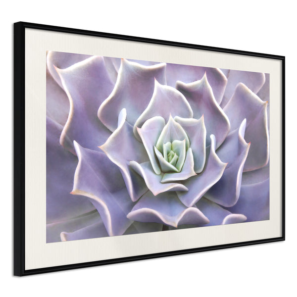 Poster - Like a Flower  - zwart passepartout