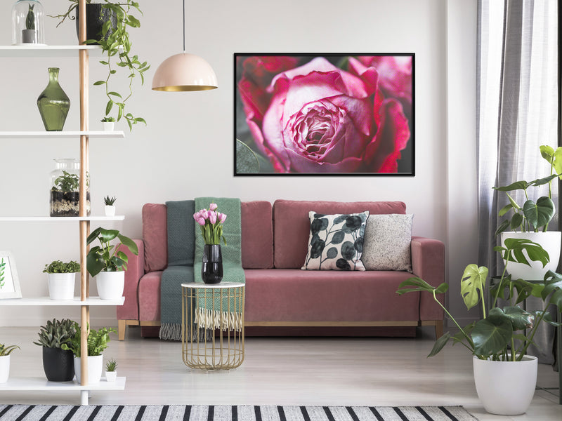 Poster - Blooming Rose  - zwart