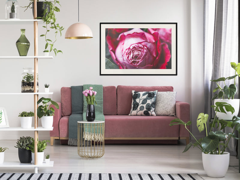 Poster - Blooming Rose  - zwart passepartout