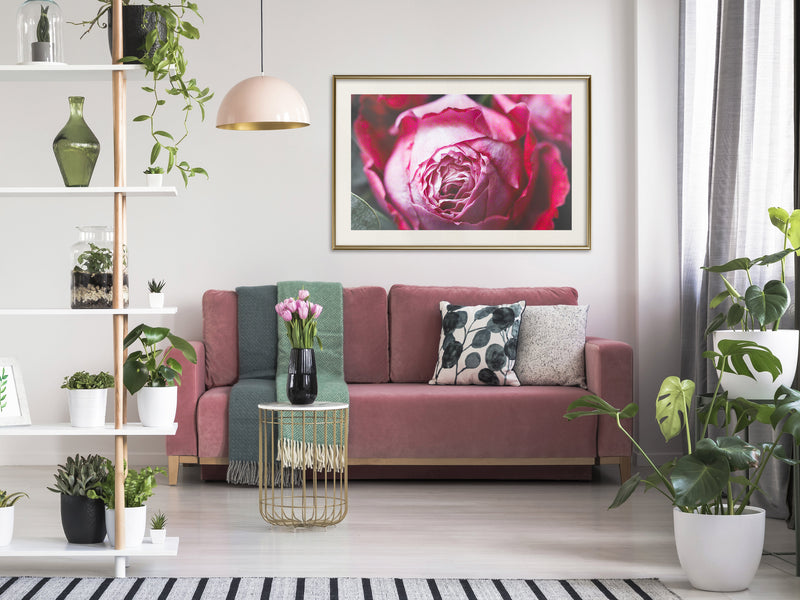 Poster - Blooming Rose  - goud passepartout