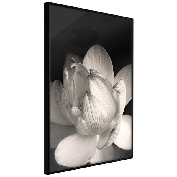 Poster - Delicacy of a Flower  - zwart