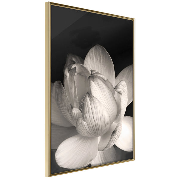 Poster - Delicacy of a Flower  - goud