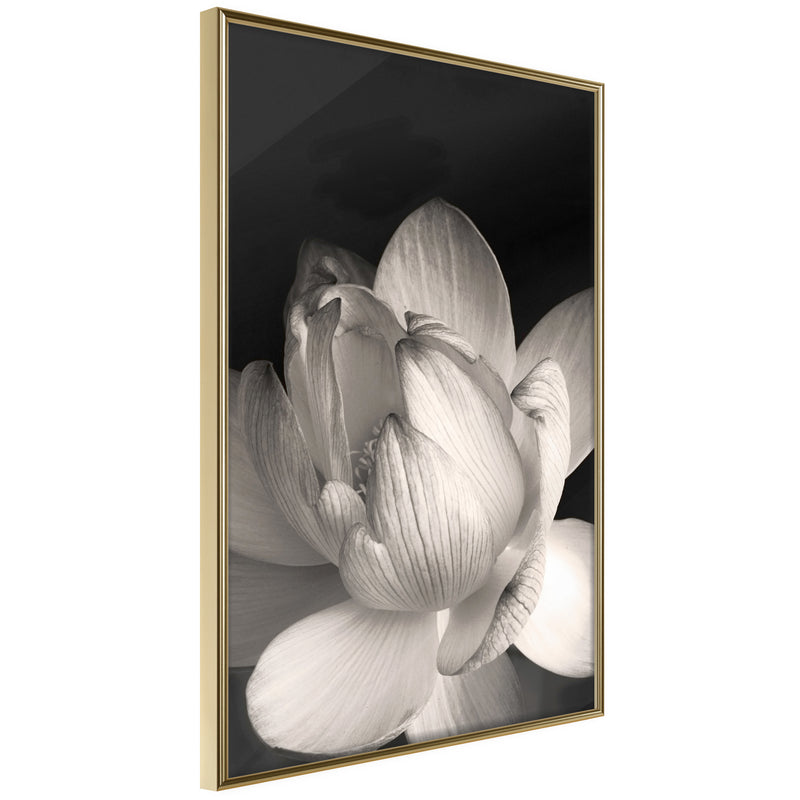 Poster - Delicacy of a Flower  - goud