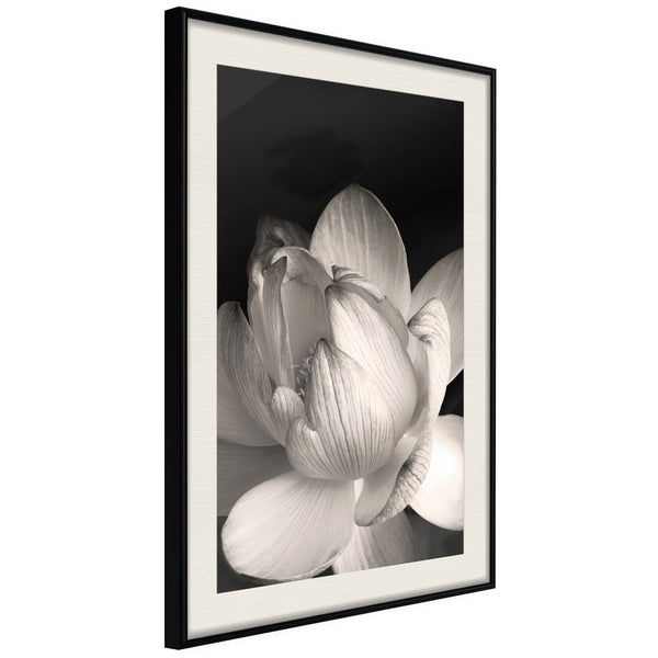 Poster - Delicacy of a Flower  - zwart passepartout