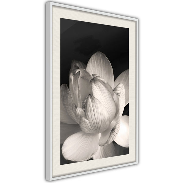 Poster - Delicacy of a Flower  - wit passepartout