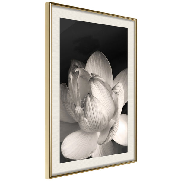 Poster - Delicacy of a Flower  - goud passepartout