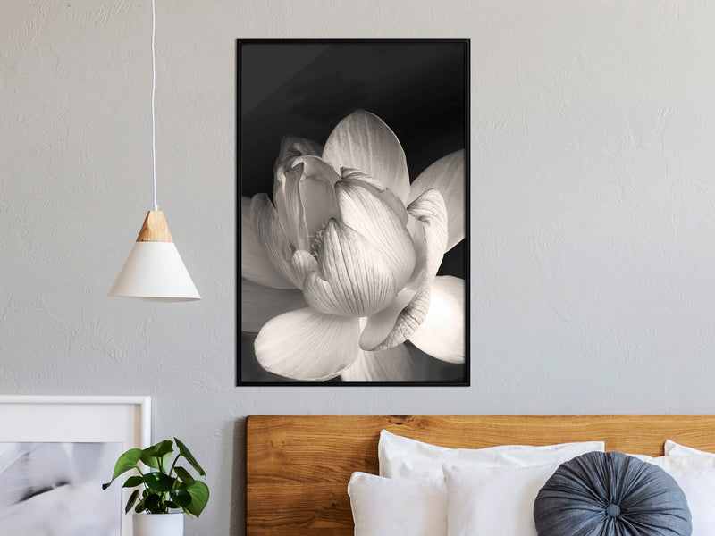 Poster - Delicacy of a Flower  - zwart