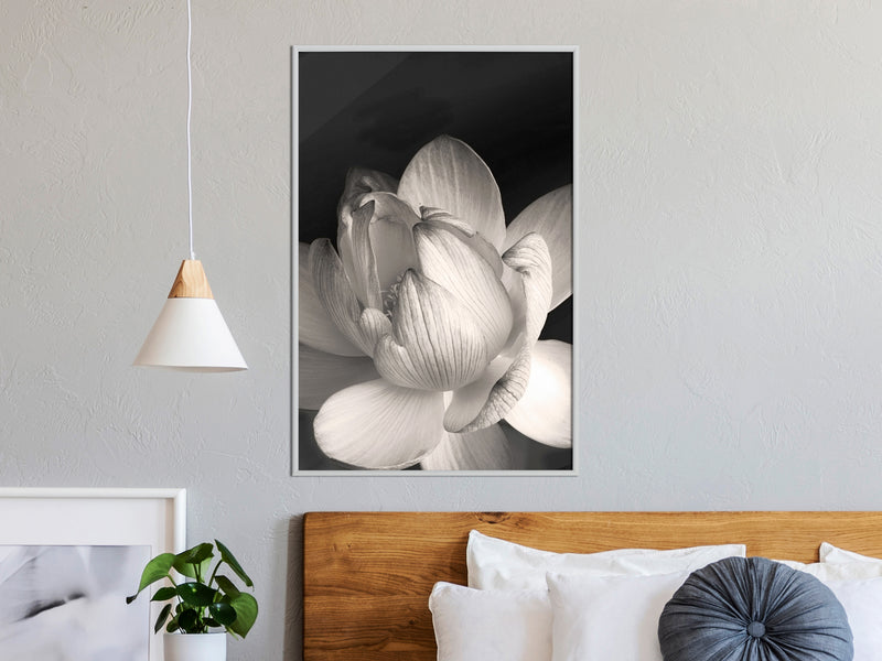 Poster - Delicacy of a Flower  - wit