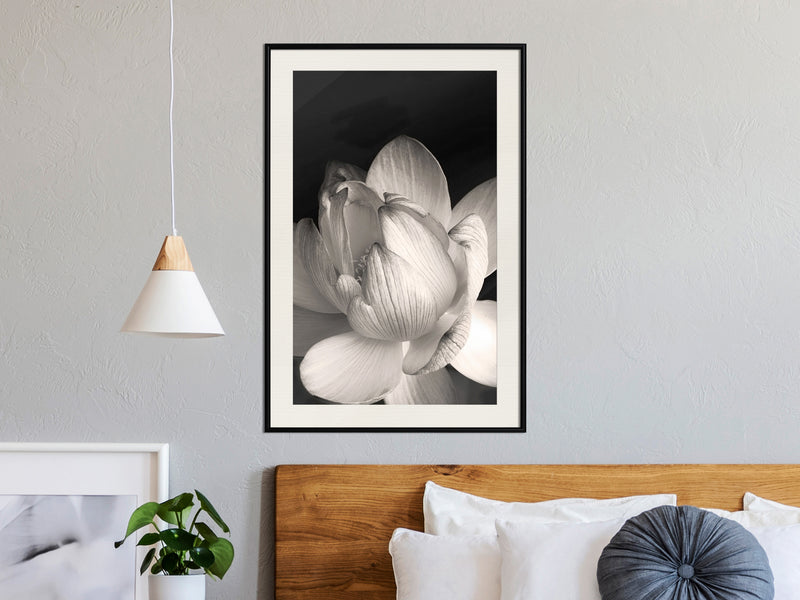 Poster - Delicacy of a Flower  - zwart passepartout