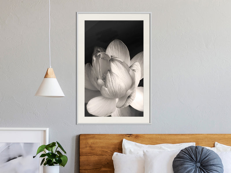 Poster - Delicacy of a Flower  - wit passepartout