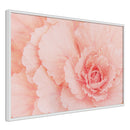 Poster - Delicate Petals  - wit