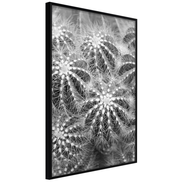 Poster - Do Not Touch  - zwart