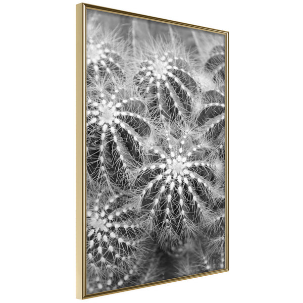 Poster - Do Not Touch  - goud