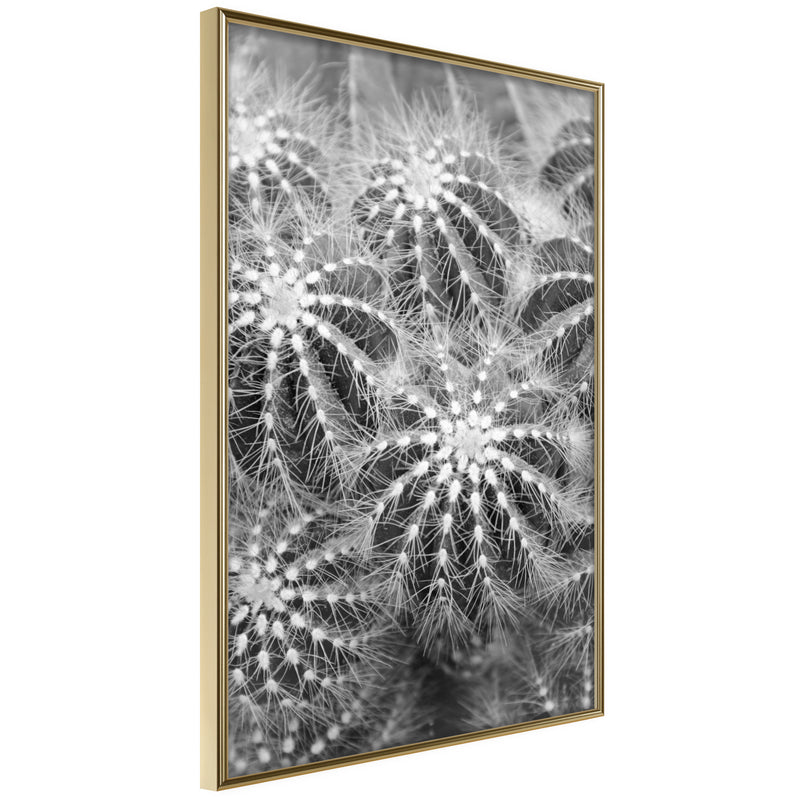 Poster - Do Not Touch  - goud