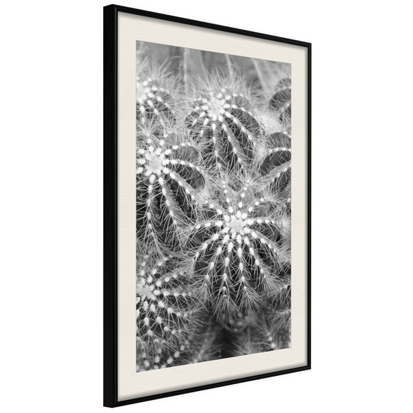 Poster - Do Not Touch  - zwart passepartout