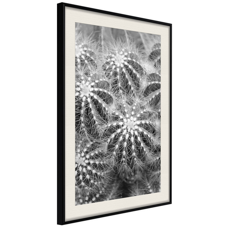 Poster - Do Not Touch  - zwart passepartout