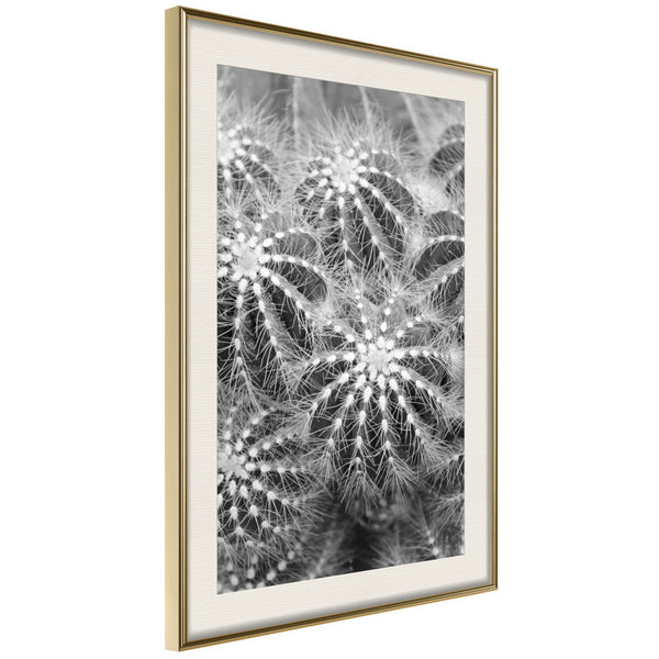 Poster - Do Not Touch  - goud passepartout