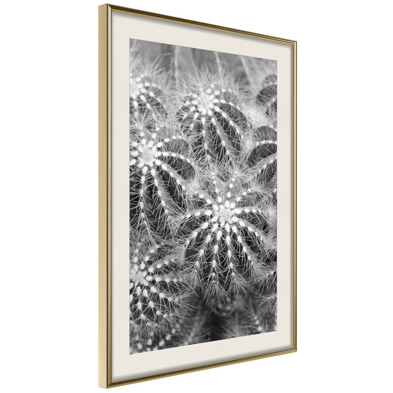 Poster - Do Not Touch  - goud passepartout