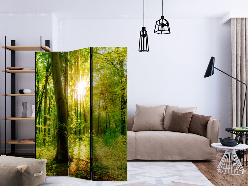 https://www.fotoartgeist.pl/ebaytemp/parawan/b-B-0383-z-b/b-B-0383-z-b-ebVis2.jpg