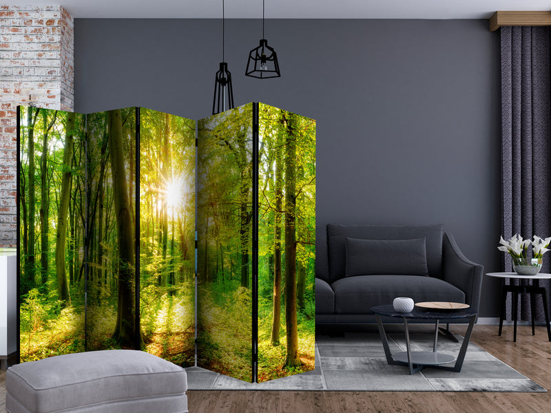 https://www.fotoartgeist.pl/ebaytemp/parawan/b-B-0383-z-c/b-B-0383-z-c-ebVis2.jpg