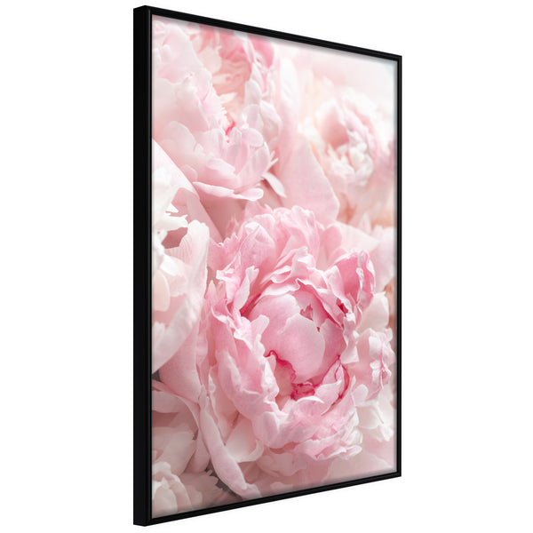 Poster - Abundance of Flowers  - zwart