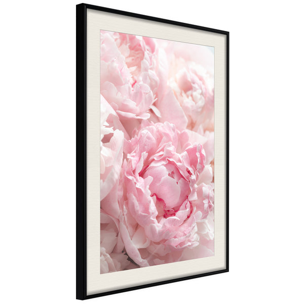 Poster - Abundance of Flowers  - zwart passepartout