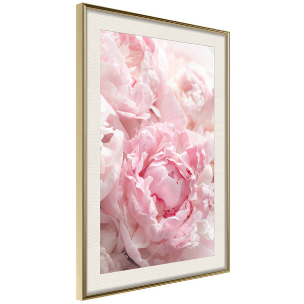 Poster - Abundance of Flowers  - goud passepartout