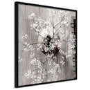 Poster - Reminiscence of Spring (Square)  - zwart