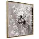 Poster - Reminiscence of Spring (Square)  - goud