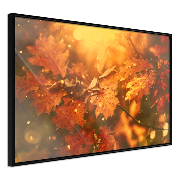 Poster - Golden Autumn  - zwart