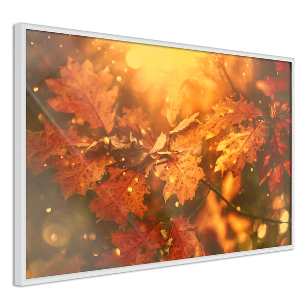 Poster - Golden Autumn  - wit