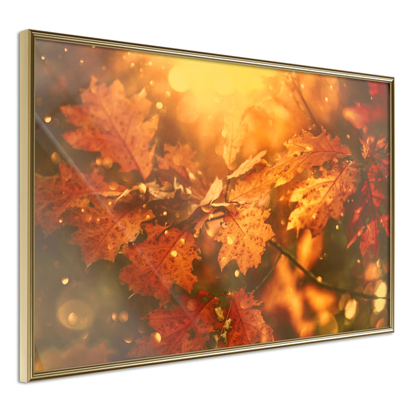 Poster - Golden Autumn  - goud