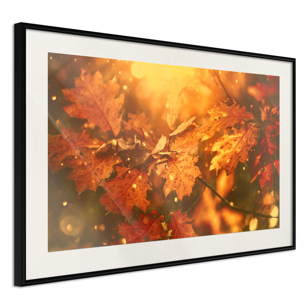 Poster - Golden Autumn  - zwart passepartout
