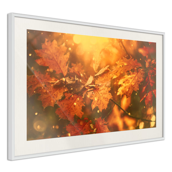 Poster - Golden Autumn  - wit passepartout