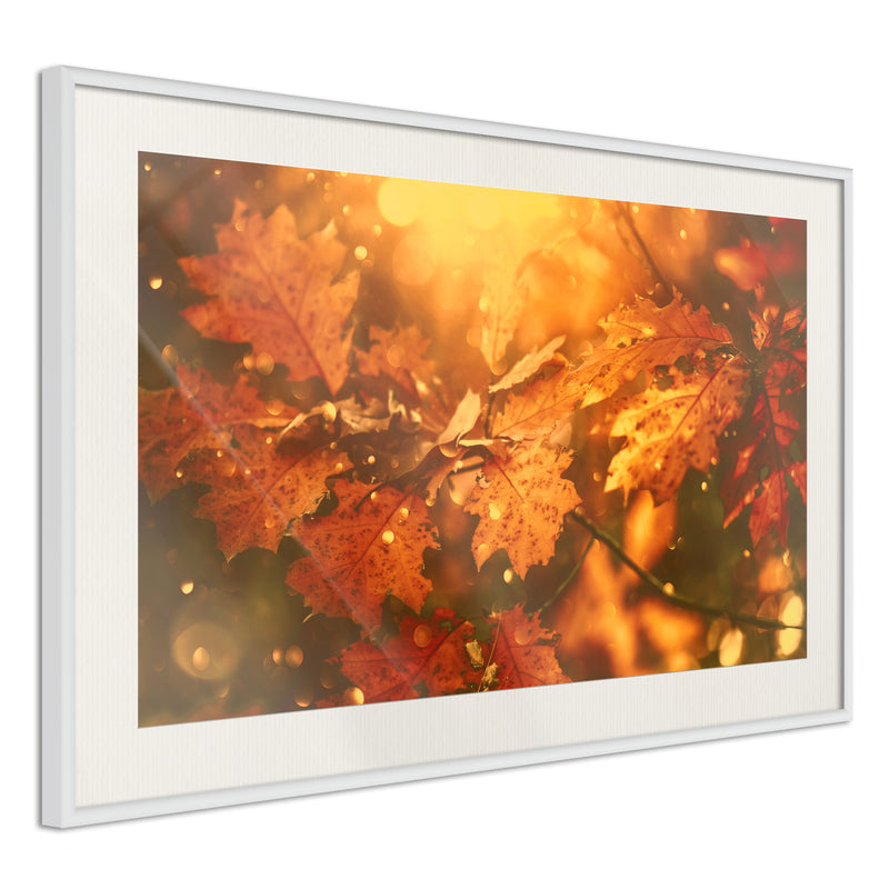 Poster - Golden Autumn  - wit passepartout