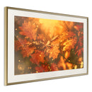 Poster - Golden Autumn  - goud passepartout