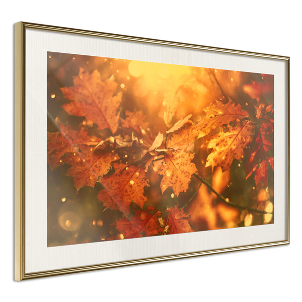 Poster - Golden Autumn  - goud passepartout